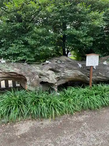 瀬戸神社(神奈川県)