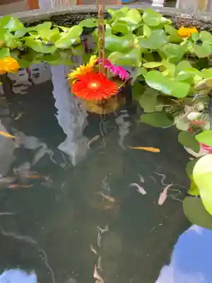田間神社(千葉県)