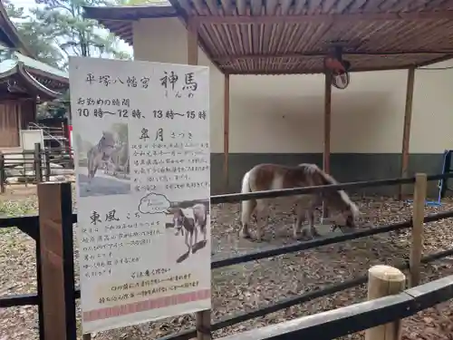 平塚八幡宮(神奈川県)