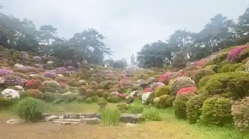 塩船観音寺の{uncategorized: "未分類", other: "その他", undefined: "問題あり", building: "その他建物", grave: "お墓", sacred_gate: "鳥居", guardian: "狛犬", statue: "像", buddha: "仏像", history: "歴史", nature: "自然", garden: "庭園", animal: "動物", pagoda: "塔", temizu: "手水舎", mountain_gate: "山門・神門", sanctuary: "本殿・本堂", subordinate: "末社・摂社", art: "芸術", scenery: "景色", jizo: "地蔵", ema: "絵馬", goshuin: "御朱印", omikuji: "おみくじ", items: "授与品その他", amulet: "お守り", goshuincho: "御朱印帳", eats: "食事", festival: "お祭り", votive_dance: "神楽", shichigosan: "七五三参", wedding: "結婚式", experience: "体験その他", initially: "初詣", around: "周辺", anti_infection: "感染症対策"}