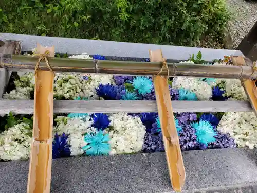 豊景神社の手水