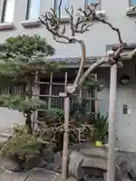 教証寺(東京都)