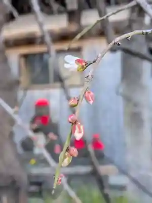 成願寺(東京都)