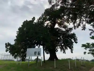 木幡神社の周辺