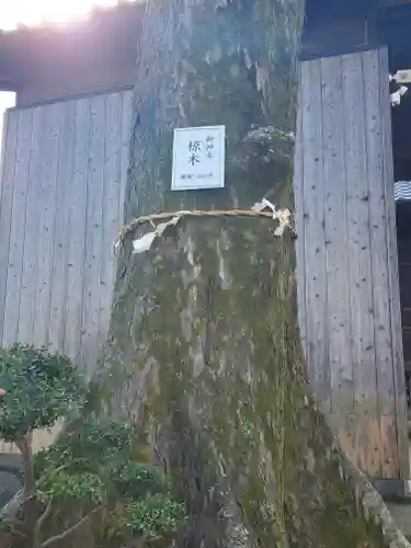 豊武神社の自然