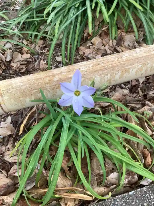 富部神社の自然