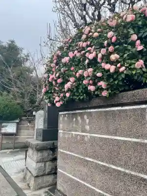 常泉寺(東京都)