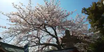 伊豆神社(滋賀県)