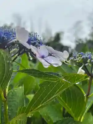 粟井神社(香川県)