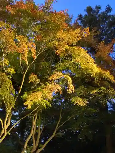 東漸寺(千葉県)