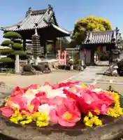真言宗 善通寺派 薬王寺(香川県)