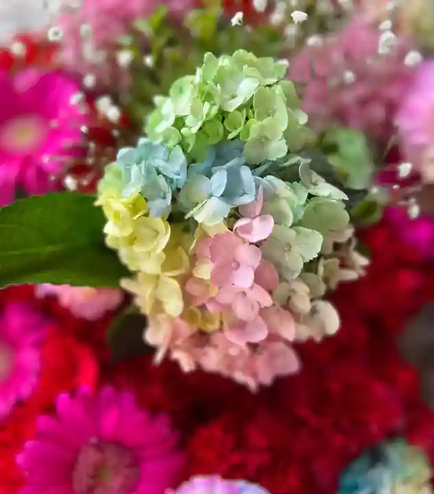 札幌諏訪神社の手水舎