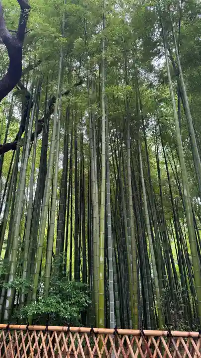 大宮八幡宮(東京都)