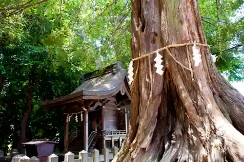 諏訪神社の自然