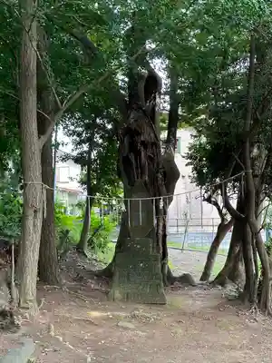 山野浅間神社(千葉県)