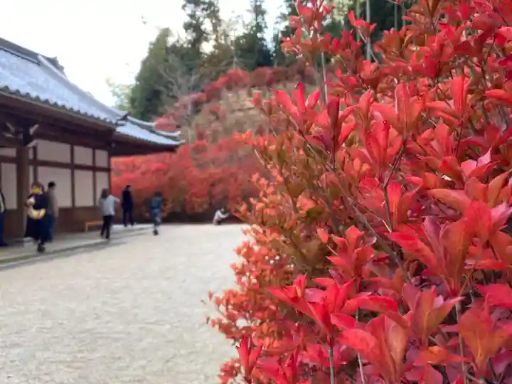 呑山観音寺のその他建物
