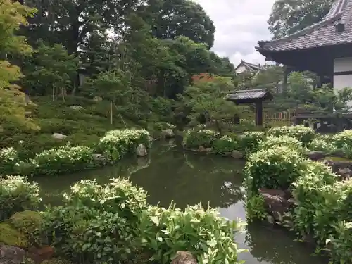 両足院の庭園