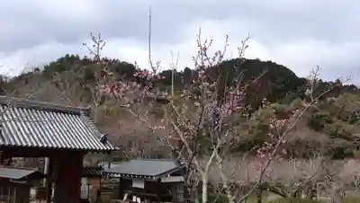 観心寺(大阪府)