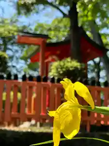 許麻神社(大阪府)(2023年04月27日(木) 13時06分51秒投稿)