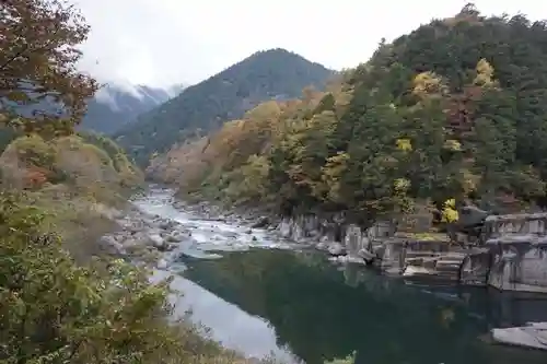 臨川寺の自然