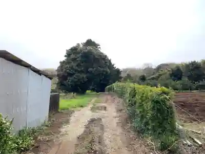 八幡神社の周辺