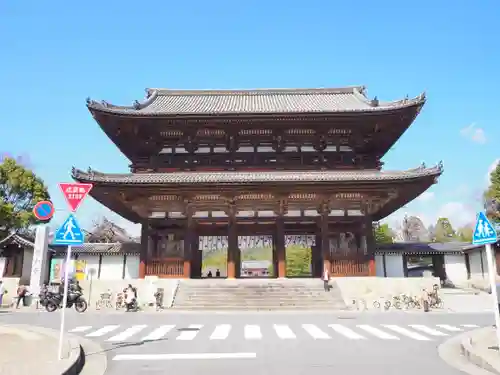 仁和寺の山門