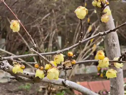 円照寺(兵庫県)