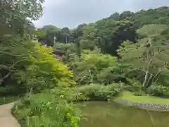 浄瑠璃寺(京都府)