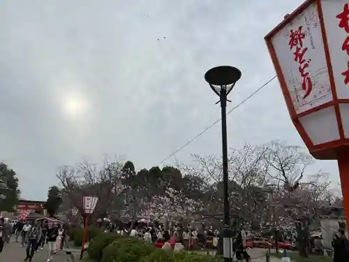 八坂神社(祇園さん)の景色