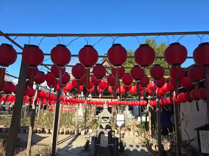 おふさ観音(観音寺)(奈良県)