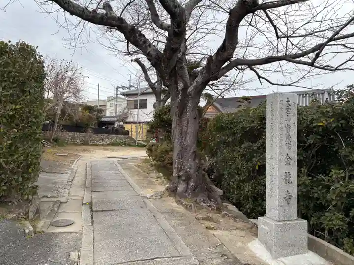 金龍寺(兵庫県)