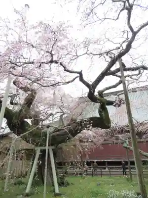 般若院(茨城県)