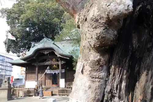 阿邪訶根神社の本殿・本堂