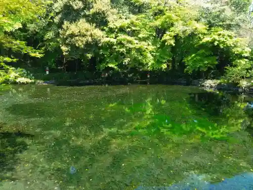 富士山本宮浅間大社(静岡県)