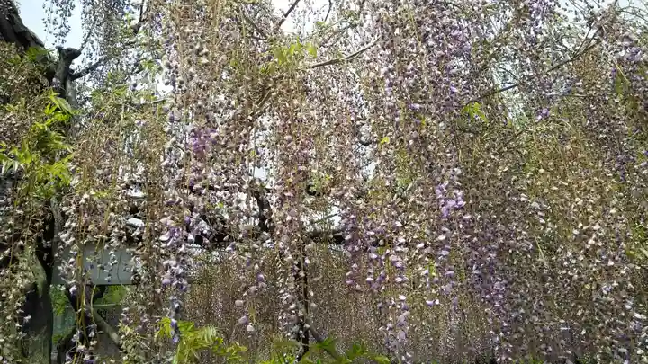 和氣神社(和気神社)(岡山県)