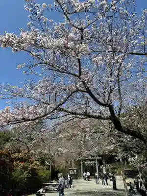 葛原岡神社の{uncategorized: "未分類", other: "その他", undefined: "問題あり", building: "その他建物", grave: "お墓", sacred_gate: "鳥居", guardian: "狛犬", statue: "像", buddha: "仏像", history: "歴史", nature: "自然", garden: "庭園", animal: "動物", pagoda: "塔", temizu: "手水舎", mountain_gate: "山門・神門", sanctuary: "本殿・本堂", subordinate: "末社・摂社", art: "芸術", scenery: "景色", jizo: "地蔵", ema: "絵馬", goshuin: "御朱印", omikuji: "おみくじ", items: "授与品その他", amulet: "お守り", goshuincho: "御朱印帳", eats: "食事", festival: "お祭り", votive_dance: "神楽", shichigosan: "七五三参", wedding: "結婚式", experience: "体験その他", initially: "初詣", around: "周辺", anti_infection: "感染症対策"}
