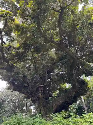 新日吉神宮(京都府)