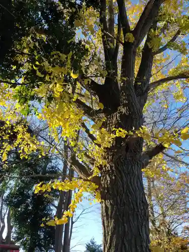 熊野福藏神社の自然