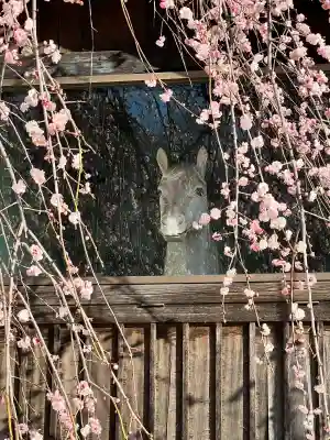 慈恩寺の{uncategorized: "未分類", other: "その他", undefined: "問題あり", building: "その他建物", grave: "お墓", sacred_gate: "鳥居", guardian: "狛犬", statue: "像", buddha: "仏像", history: "歴史", nature: "自然", garden: "庭園", animal: "動物", pagoda: "塔", temizu: "手水舎", mountain_gate: "山門・神門", sanctuary: "本殿・本堂", subordinate: "末社・摂社", art: "芸術", scenery: "景色", jizo: "地蔵", ema: "絵馬", goshuin: "御朱印", omikuji: "おみくじ", items: "授与品その他", amulet: "お守り", goshuincho: "御朱印帳", eats: "食事", festival: "お祭り", votive_dance: "神楽", shichigosan: "七五三参", wedding: "結婚式", experience: "体験その他", initially: "初詣", around: "周辺", anti_infection: "感染症対策"}