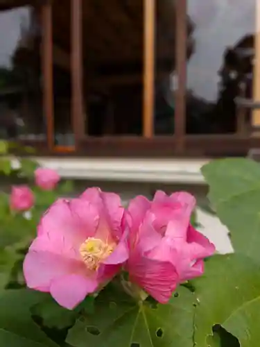 鳩森八幡神社(東京都)