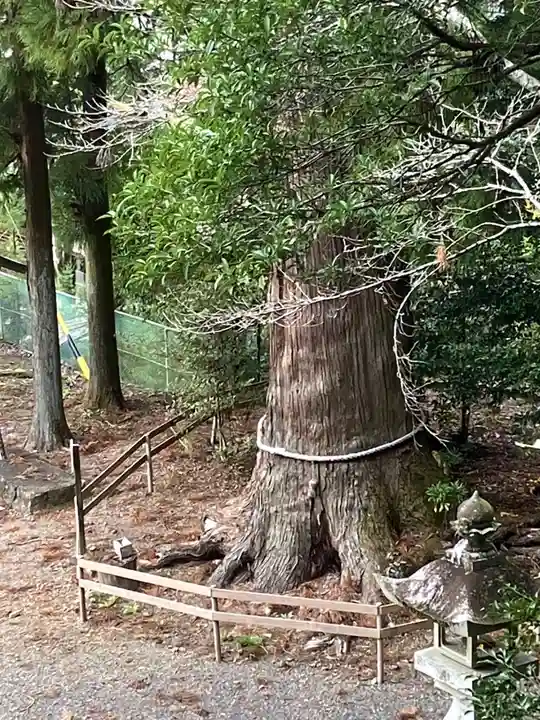 大舩神社(八百津町)(岐阜県)