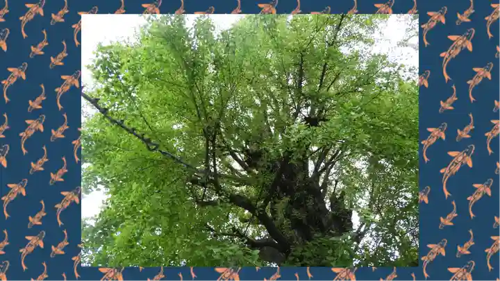 飛木稲荷神社(東京都)