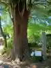 清瀧寺の{uncategorized: "未分類", other: "その他", undefined: "問題あり", building: "その他建物", grave: "お墓", sacred_gate: "鳥居", guardian: "狛犬", statue: "像", buddha: "仏像", history: "歴史", nature: "自然", garden: "庭園", animal: "動物", pagoda: "塔", temizu: "手水舎", mountain_gate: "山門・神門", sanctuary: "本殿・本堂", subordinate: "末社・摂社", art: "芸術", scenery: "景色", jizo: "地蔵", ema: "絵馬", goshuin: "御朱印", omikuji: "おみくじ", items: "授与品その他", amulet: "お守り", goshuincho: "御朱印帳", eats: "食事", festival: "お祭り", votive_dance: "神楽", shichigosan: "七五三参", wedding: "結婚式", experience: "体験その他", initially: "初詣", around: "周辺", anti_infection: "感染症対策"}
