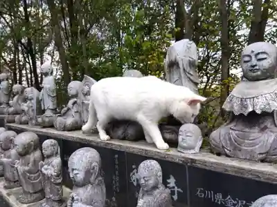 御誕生寺（猫寺）(福井県)