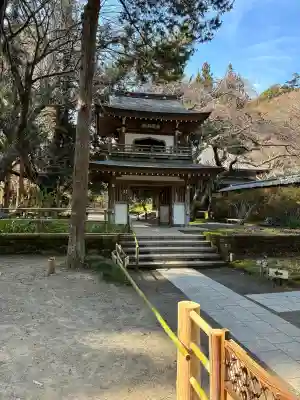 浄智寺の{uncategorized: "未分類", other: "その他", undefined: "問題あり", building: "その他建物", grave: "お墓", sacred_gate: "鳥居", guardian: "狛犬", statue: "像", buddha: "仏像", history: "歴史", nature: "自然", garden: "庭園", animal: "動物", pagoda: "塔", temizu: "手水舎", mountain_gate: "山門・神門", sanctuary: "本殿・本堂", subordinate: "末社・摂社", art: "芸術", scenery: "景色", jizo: "地蔵", ema: "絵馬", goshuin: "御朱印", omikuji: "おみくじ", items: "授与品その他", amulet: "お守り", goshuincho: "御朱印帳", eats: "食事", festival: "お祭り", votive_dance: "神楽", shichigosan: "七五三参", wedding: "結婚式", experience: "体験その他", initially: "初詣", around: "周辺", anti_infection: "感染症対策"}