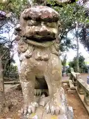 海童神社の狛犬