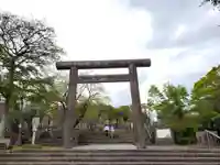 南洲神社の鳥居