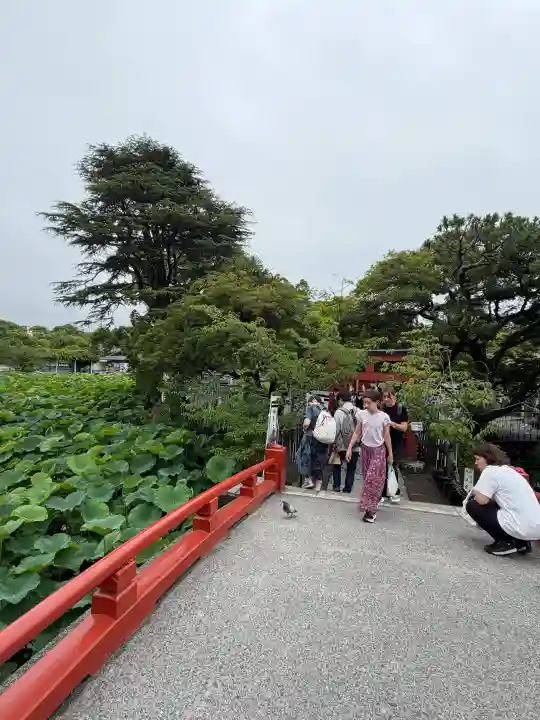 鶴岡八幡宮(神奈川県)