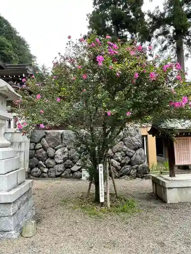 高麗神社の庭園