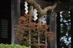 豊景神社の自然